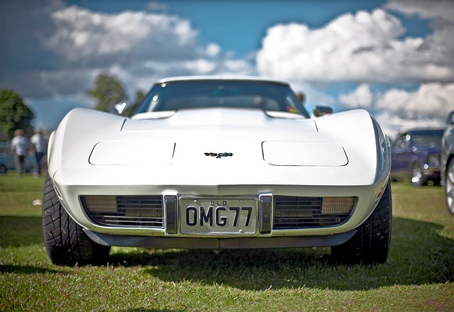 corvette závodní auto.jpg