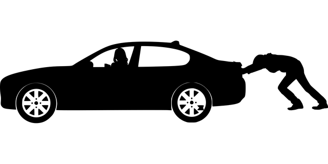silueta auta